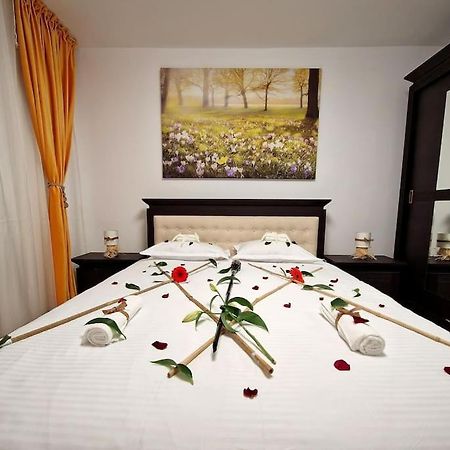 Apartament Forest Intimate Hideaway - Sub Padure Love Nest Braszów Zewnętrze zdjęcie